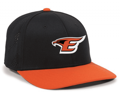 Custom Team Premium Flex Baseball Hats