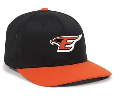 Custom Premium Flex Baseball Hats